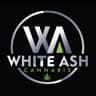 White Ash Cannabis