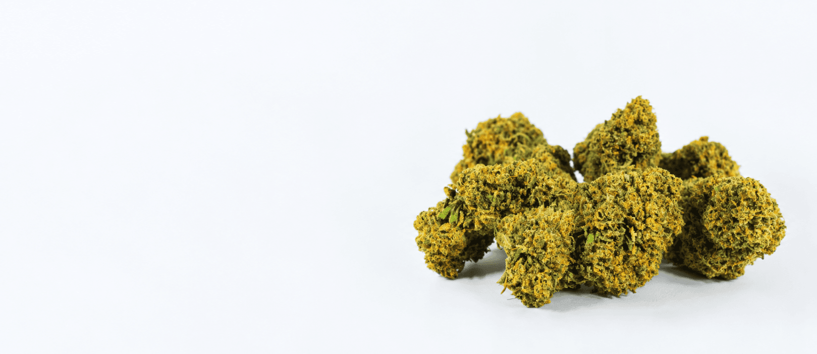 Find Your Favorite Cannabis Flower at Bowdega