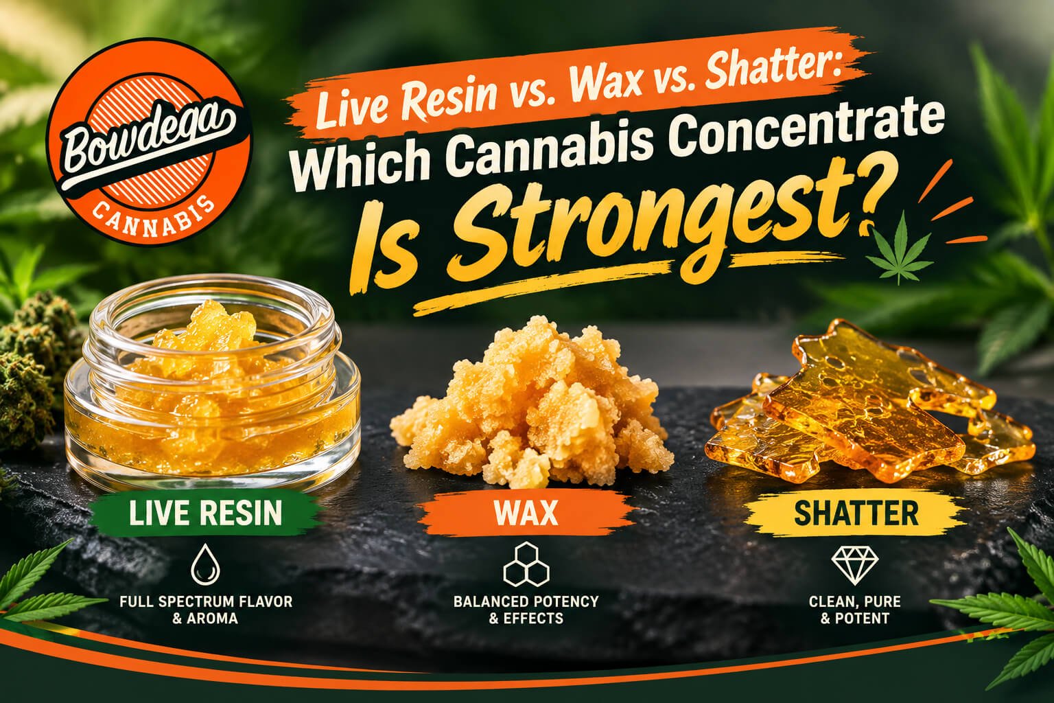 live-resin-vs-wax-vs-shatter live-resin-vs-wax-vs-shatter